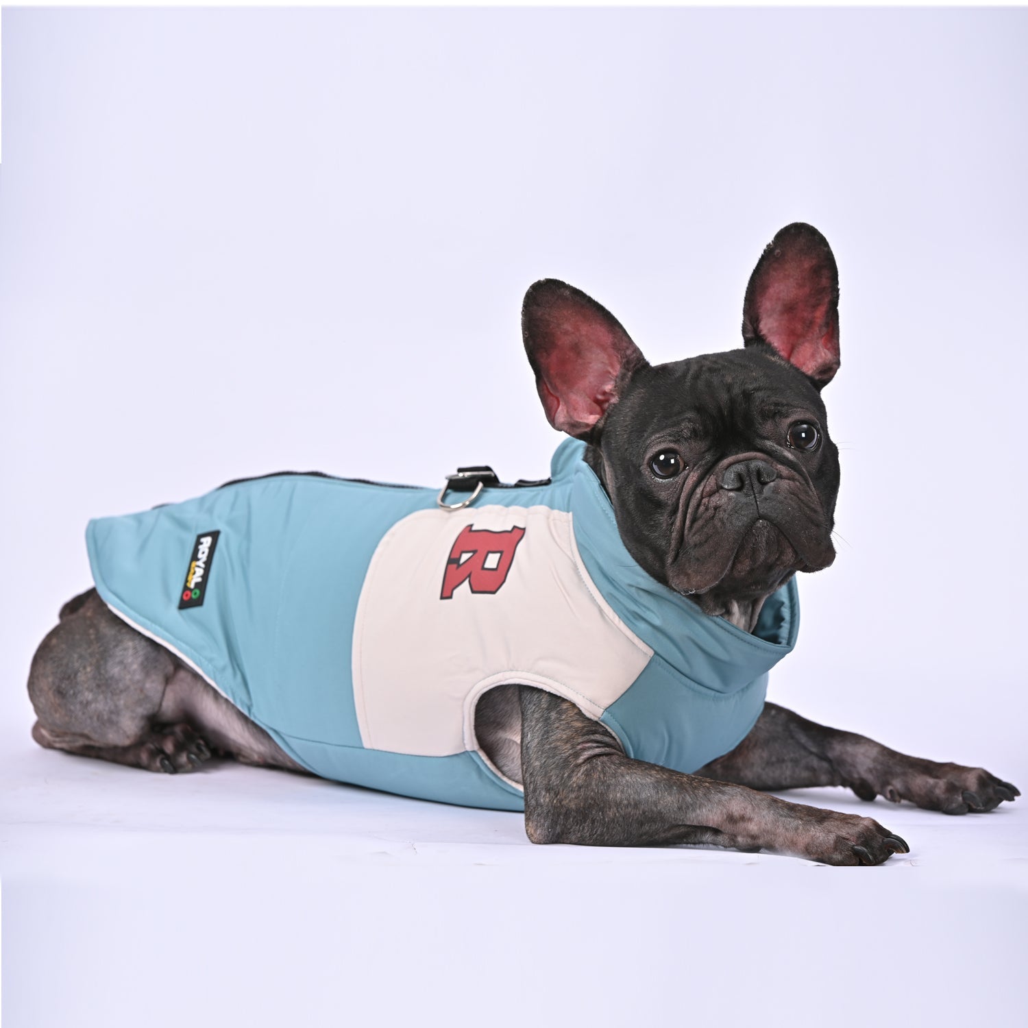 Frenchie-Winter-Jacket-With-Harness-Set-www.frenchie.us