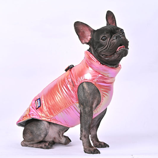 FrostShine-Frenchie-Reflective-Warm-Jacket-www.frenchie.us