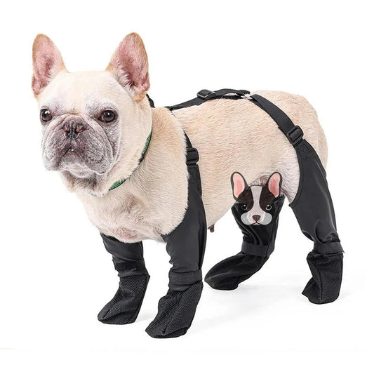 Sole-Savers-French-Bulldog-Footwear-frenchie.us