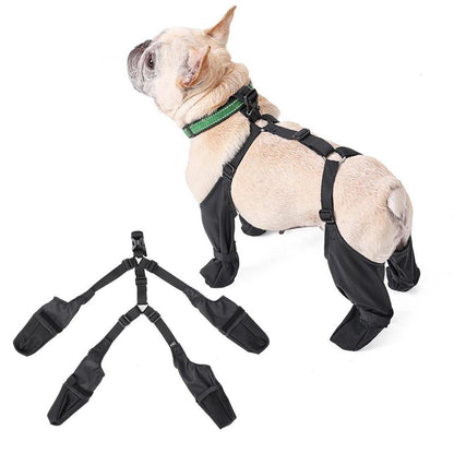 Sole-Savers-French-Bulldog-Footwear-frenchie.us