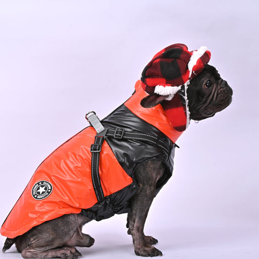 Winter-Glow-Frenchie-Reflective-Jacket-www.frenchie.us