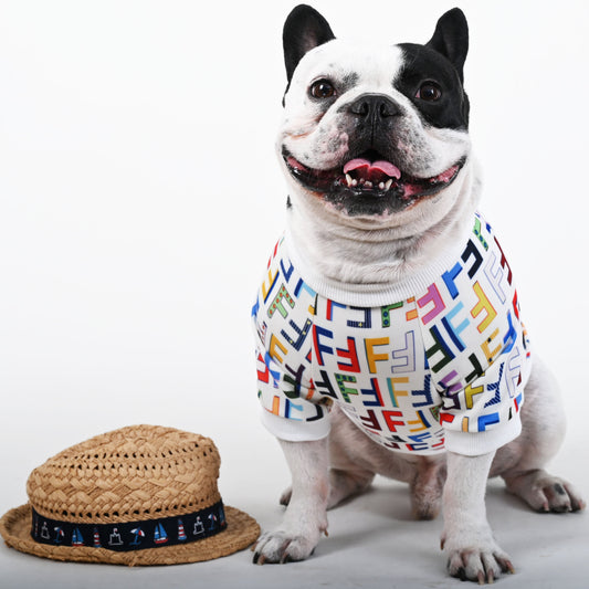 Colorful Frendi Sweater