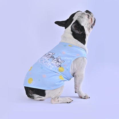Cooling Shirt for Frenchies