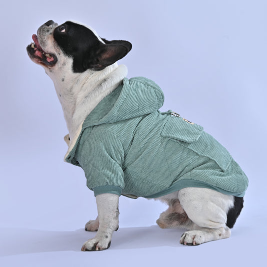 Classic Winter Special Hoodie