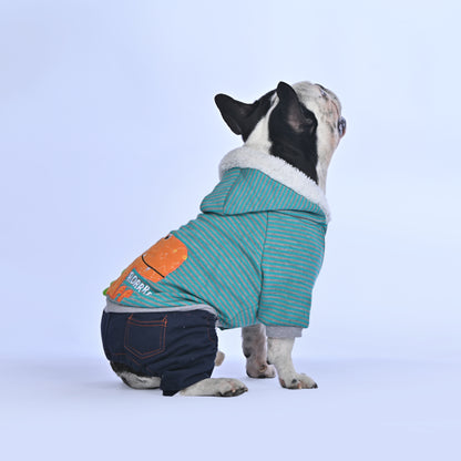Casual Dino Hoodie