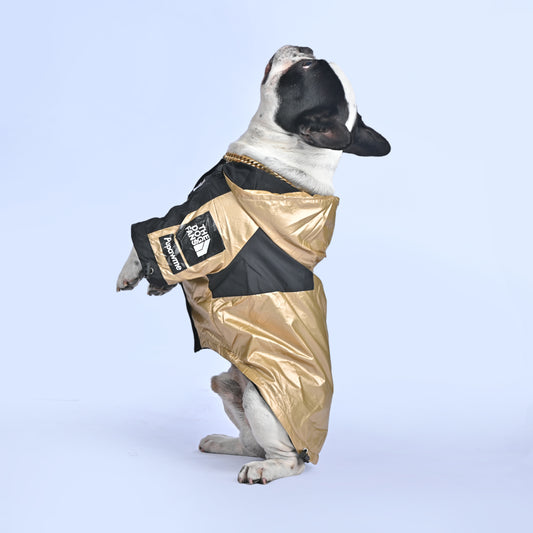 Frenchie Face Raincoat