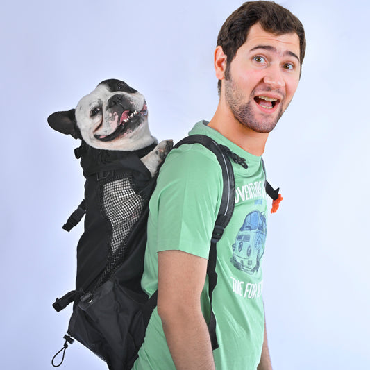 PackPaw - French Bulldog Carrier Backpack
