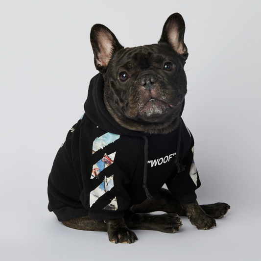 Frenchier™ - French Bulldog Woof Hoodie V4 - Frenchie.us