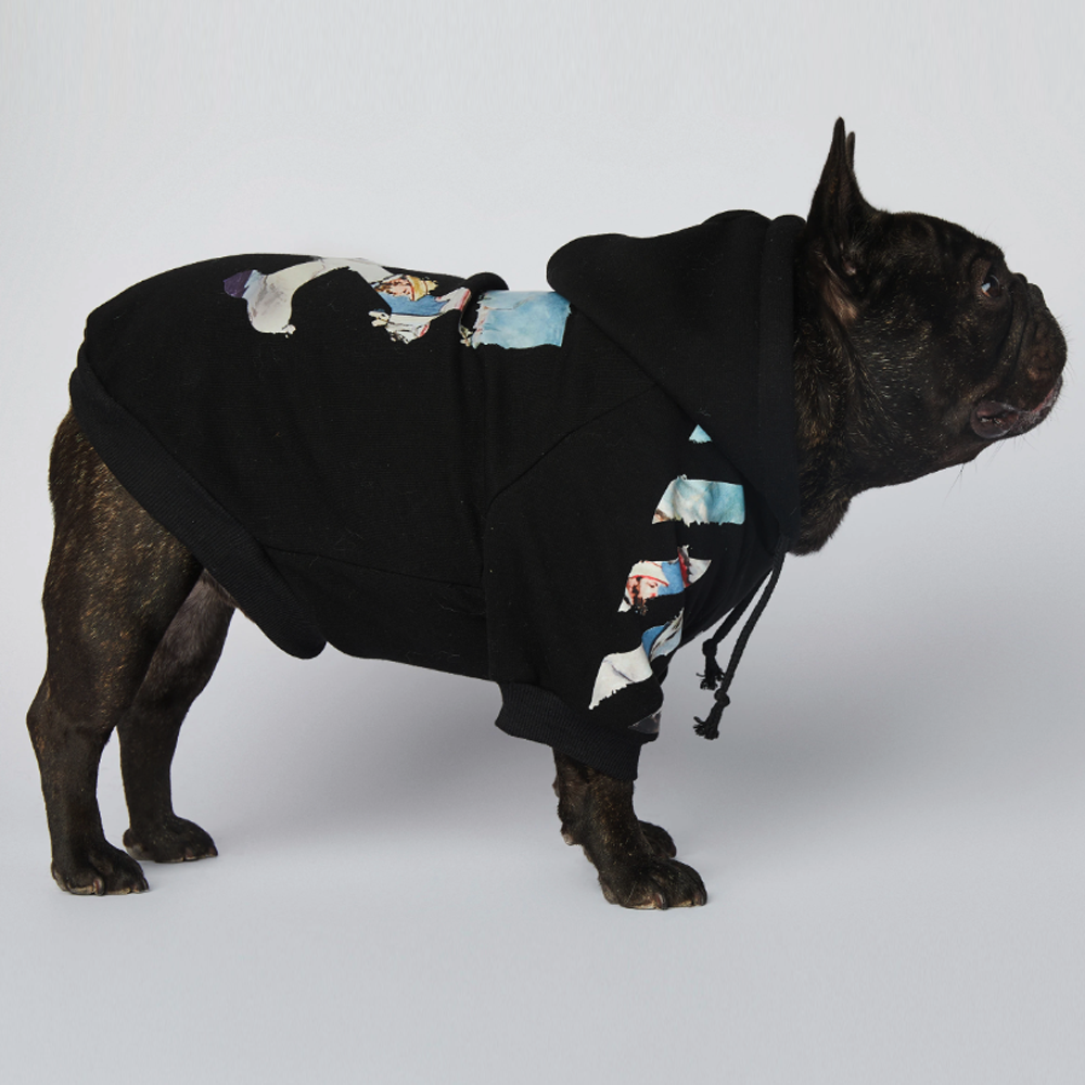 Frenchier™ - French Bulldog Woof Hoodie V4 - Frenchie.us