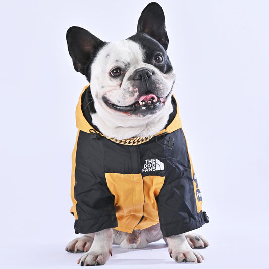 Frenchie Raincoat 